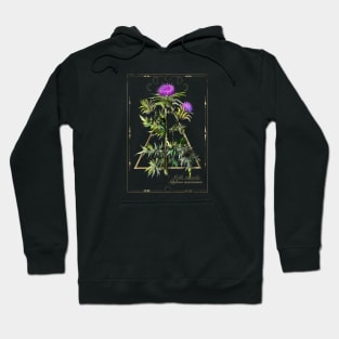 Thistle witches herb. Hoodie